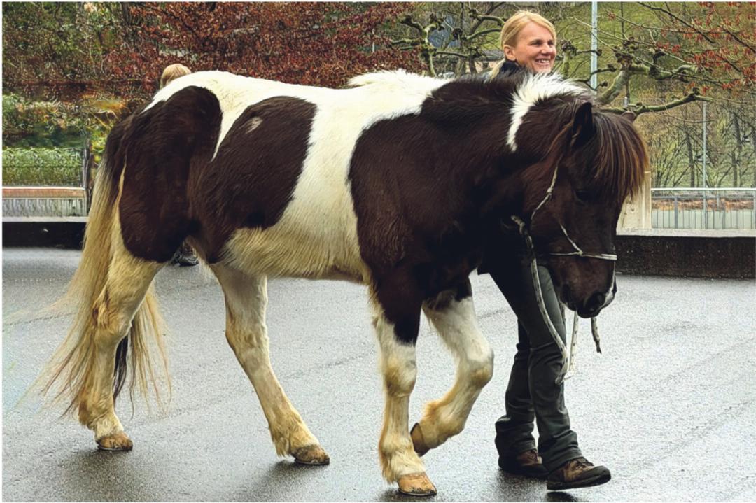 Vördür wurde den Kindern, Jugendlichen und Erwachsenen am Montag in der grossen gemeinsamen Wocheneinstimmung vorgestellt. Foto: zVg Vördür wurde den Kindern, Jugendlichen und Erwachsenen am Montag in der grossen gemeinsamen Wocheneinstimmung vorgestellt. Foto: zVg