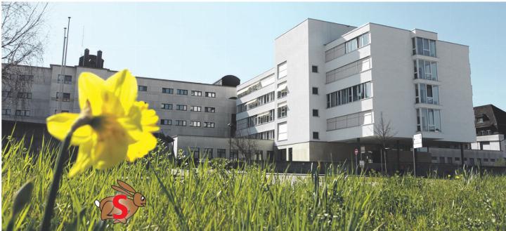 Das Gesundheitszentrum Fricktal (GZF) mit den Standorten Rheinfelden (Bild) und Laufenburg ist solide unterwegs. Die letzten Monate waren von personellen Veränderungen an der Spitze geprägt. Foto: Archiv NFZ