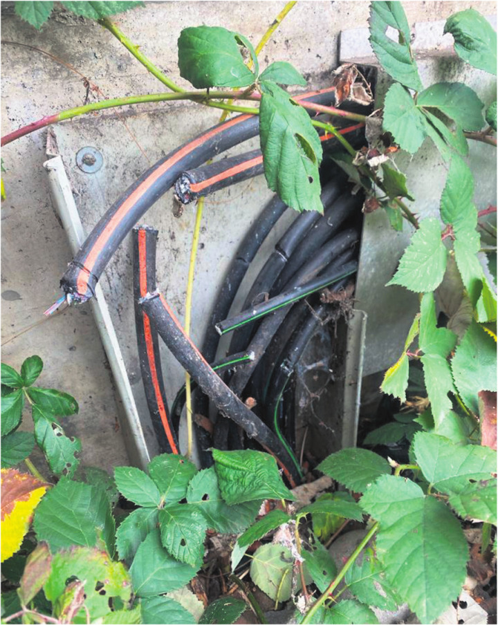 Sabotage am Glasfaserkabelnetz ist eines der zahlreichen Delikte, die den Mitgliedern des Wolfsrudels vorgeworfen werden. Foto: zVg