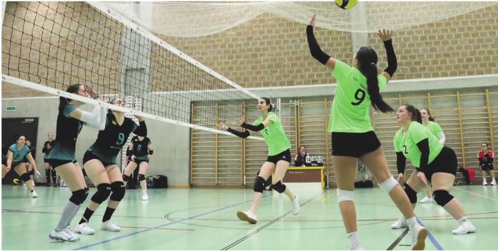 Ein bunt gemischtes Team, aber voller Qualität: Die 4. Liga-Mädels von Volley. Foto: zVg