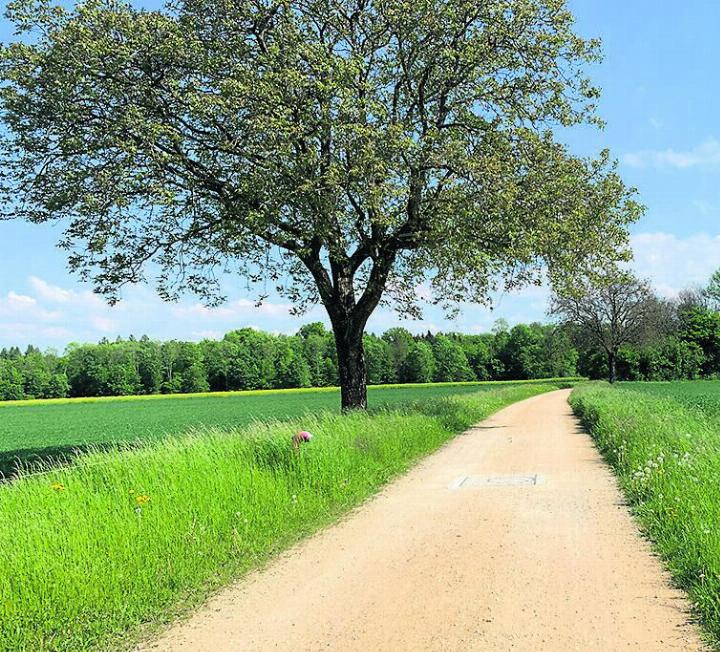 Der RLE ist das zentrale Instrument der Stadt, um landschaftsrelevante Projekte zu planen und die Interessen der Freizeit- und Erholungsnutzung mit den Anliegen des Natur- und Landschaftsschutzes zu koordinieren. Foto: zVg