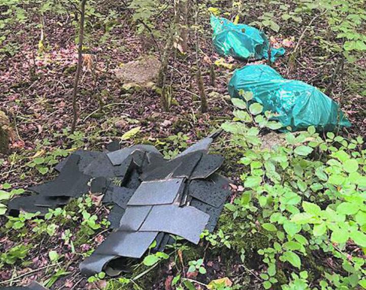 Reste von Bitumenbahnen und Isoliermaterial wurden im Wald zurückgelassen. Foto: zVg