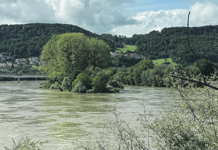 Aus der Ferne zu betrachten: die Fridolinsinsel zwischen Stein und Bad Säckingen. Foto: Simone Rufli