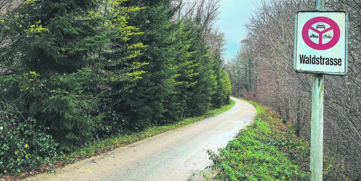 Der alte Gloritbelag muss immer wieder ausgebessert werden. Die Stadt möchte deshalb einen hellen Asphaltbelag einbauen lassen. Ob das zulässig ist, muss sich weisen. Foto: Valentin Zumsteg