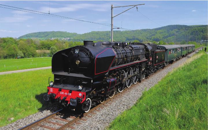 Mit Volldampf in den Frühling. Aufgenommen zwischen Laufenburg und Rheinsulz. Foto: Felix Klingele, Laufenburg