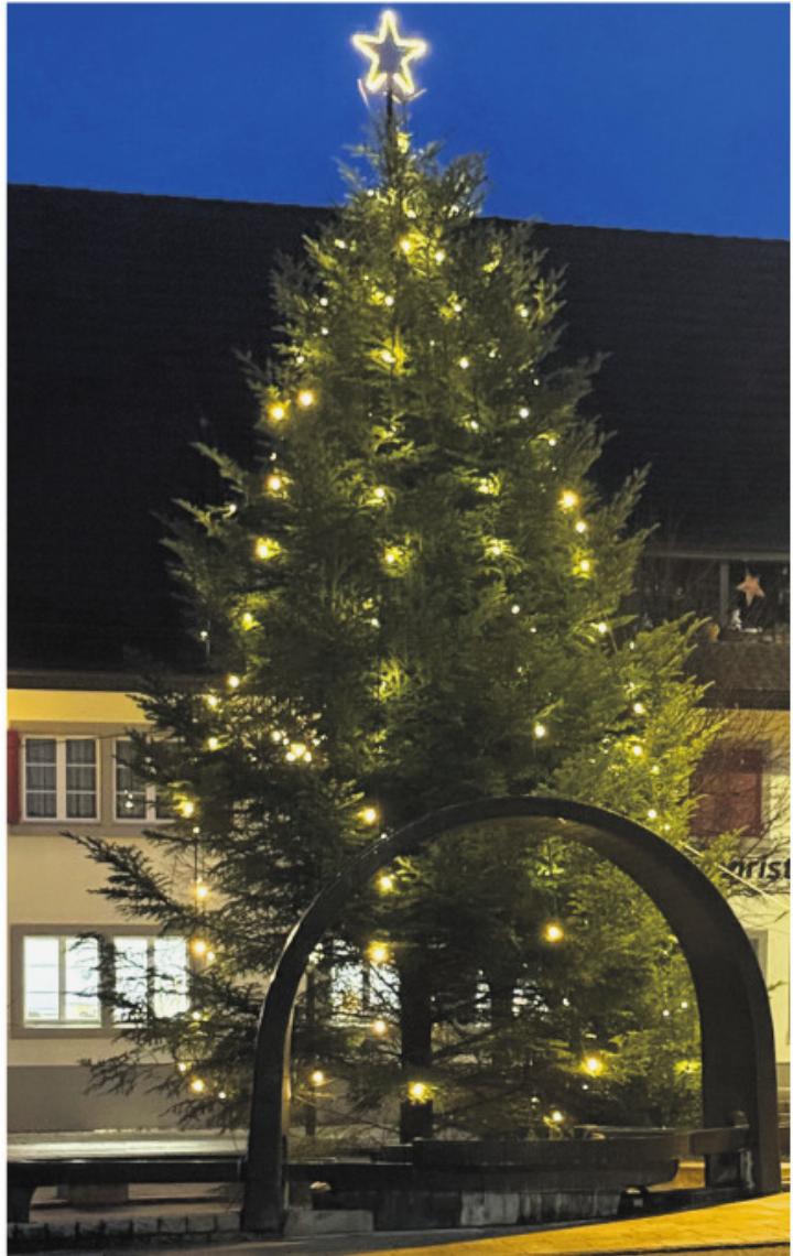 Die grosse Tanne beim Eichhörnlibrunnen. Foto: zVg Die grosse Tanne beim Eichhörnlibrunnen. Foto: zVg