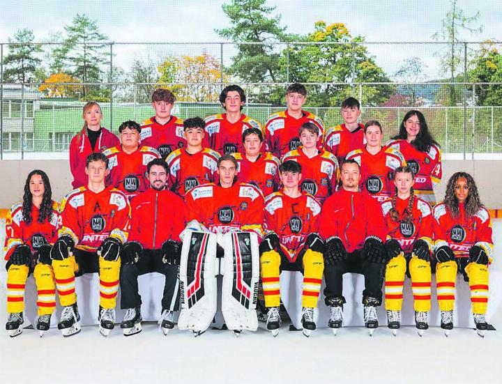 Keine Punkte für die U17 des EHC Rheinfelden; sie unterlag der GDT Bellinzona mit 2:4. Foto: zVg