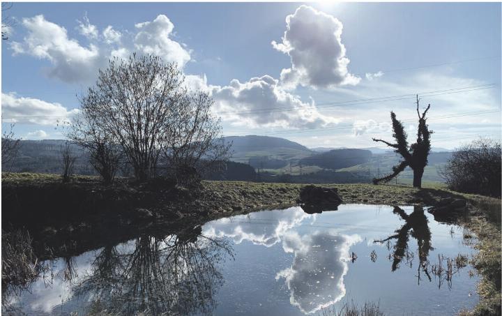 Wunderschönes Spiegelbild im Weiher, Kaisten. Foto: Margrit Freudemann, Kaisten
