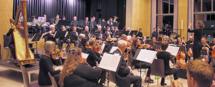 Der Orchesterverein setzt dieses Jahr ausschliesslich auf englische Komponisten. Foto: Archiv NFZ