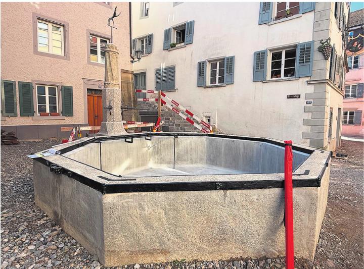 Der markante Rösslibrunnen in der Laufenburger Altstadt. Foto: Susanne Hörth