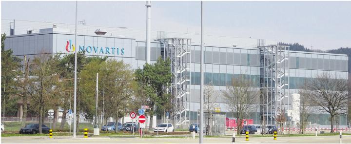 Bei der Novartis in Stein ist ein grosser Stellenabbau geplant. Foto: sh/Archiv
