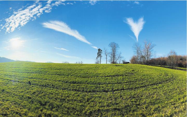 Mit herzlichen Grüssen: Fotografiert auf der Wintersinger Höhe, Blickrichtung Nusshof/Hersberg. Foto: Karin Stocker