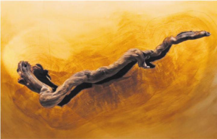 Andy Bianchi (Malerei   Installation) und Mark Emmenegger (Skulpturen) stellen in der Johanniterkapelle aus. Foto: zVg