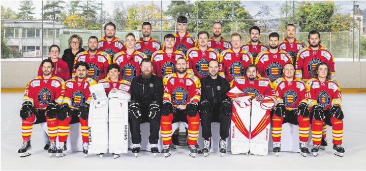 Die erste Mannschaft des EHC Rheinfelden tut sich momentan schwer in der zweiten Liga. Foto: Archiv NFZ