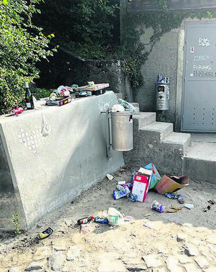 Abfall und Scherben, so präsentierte sich das Inseli am Samstag. Foto: zVg Abfall und Scherben, so präsentierte sich das Inseli am Samstag. Foto: zVg