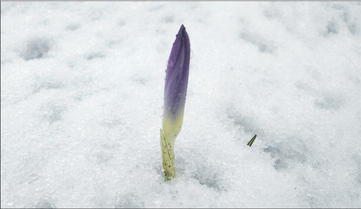 Foto: Susanne Hörth