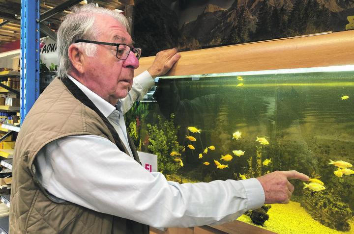 Er mag Fische, das Stumme aber liegt ihm nicht: Werner Meier, 85. Foto: Ronny Wittenwiler