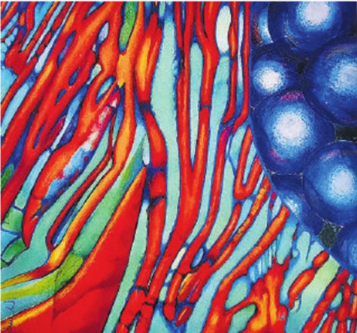 Die Ausstellung läuft bis am 1. März. Foto: zVg