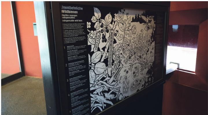 Der neugestaltete Schaukasten im Etoschahaus des Basler Zolli. Foto: zVg