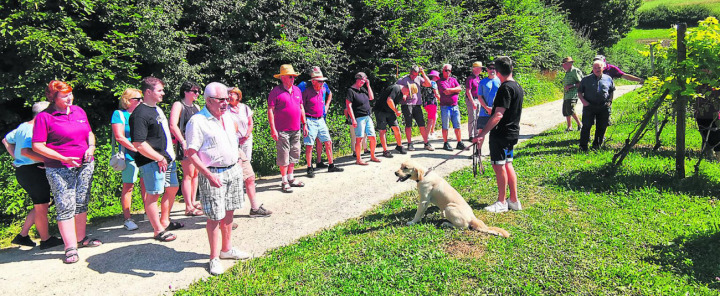 Rebrundgang Anbaugebiet Aesplen. Foto: Rebbauverein Kaisten