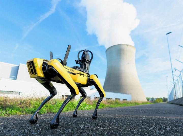Ein Roboterhund vor dem KKL Leibstadt. Foto: zVg