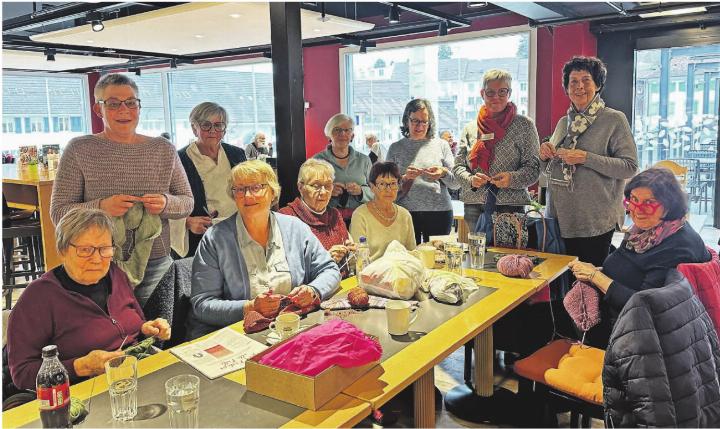 Die Idee von Michelle Gutsche (links, stehend) komm bestens an. Mit dabei beim zweiten Treffen ist auch Eveline Dillinger, Leiterin der Beratungsstelle der Pro Senectute Bezirk Laufenburg (stehend, Zweite von rechts). Foto: Sonja Fasler Die Idee von Michelle Gutsche (links, stehend) komm bestens an. Mit dabei beim zweiten Treffen ist auch Eveline Dillinger, Leiterin der Beratungsstelle der Pro Senectute Bezirk Laufenburg (stehend, Zweite von rechts). Foto: Sonja Fasler