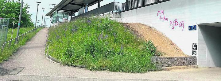 In diesem und im gegenüberliegenden Bereich bei der Personenunterführung der S-Bahn-Haltestelle Augarten sind neue Veloabstellanlagen geplant. Foto: zVg