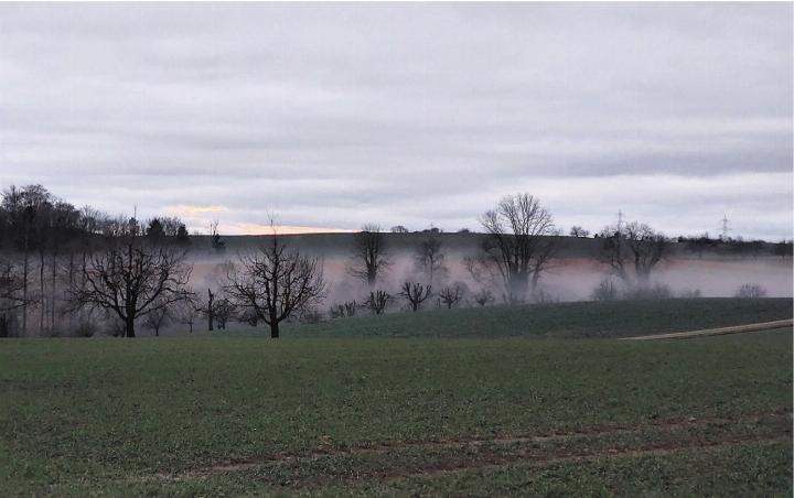 Wie der Nebel eine schöne Abendstimmung herbeizaubern kann. Gesehen vom Eikerberg. Foto: Fritz Gisin, Münchwilen
