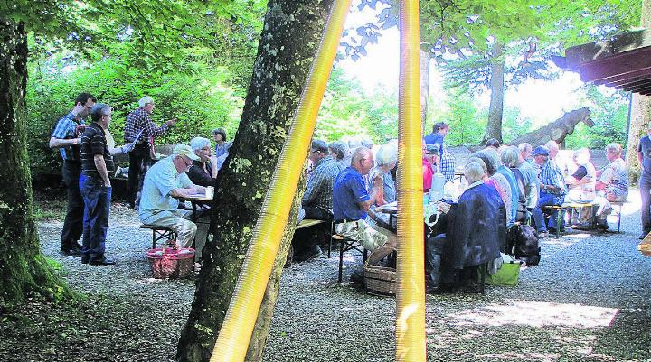 Blick durch zwei Alphörner auf das Waldpicknick. Foto: zVg