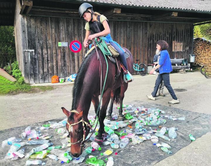 Am Patrouillenritt in Gansingen gab es abwechslungsreiche Aufgaben für Pferd und Reiter. Foto: zVg