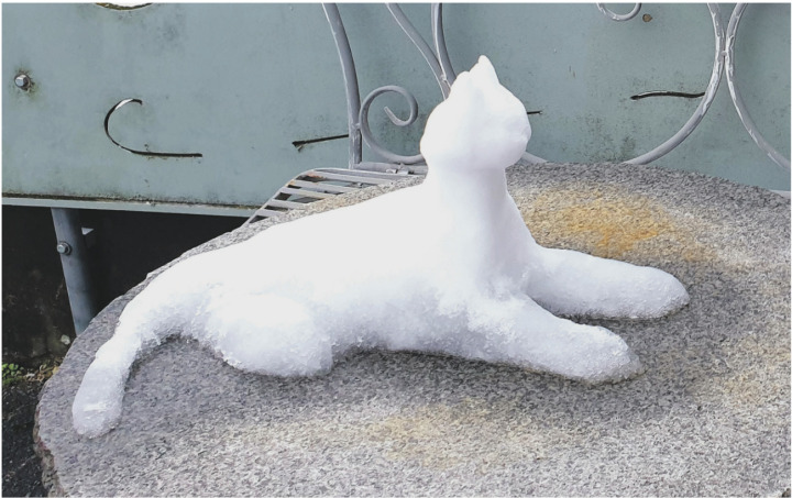 Was man bei einem Sonntagsspaziergang doch alles entdeckt: zum Beispiel diese süsse Katze. Foto: Tanja Langnickel, Frick