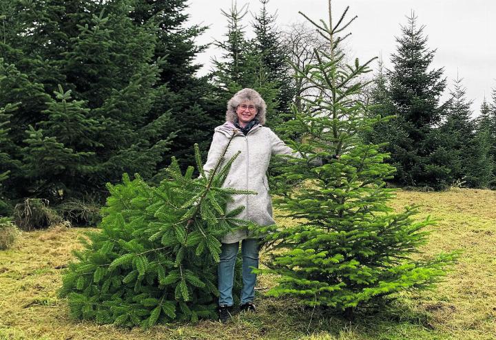 Bäumig: Barbara Stadler mit den Tannen. Jetzt werden Kinderwünsche erfüllt. Foto: zVg