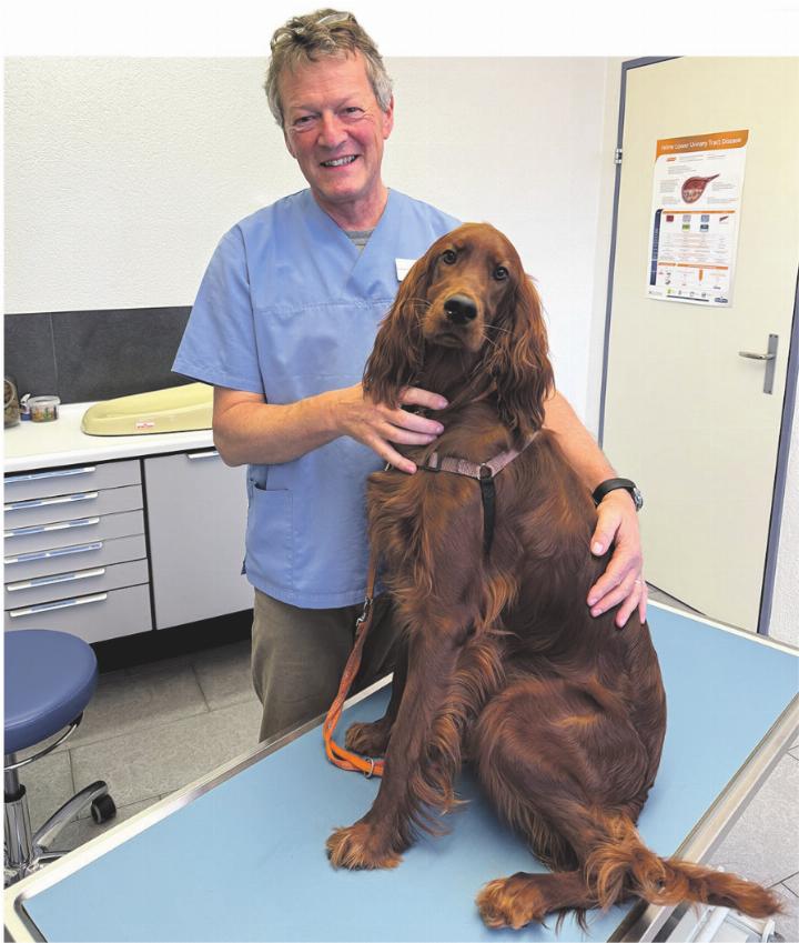 Markus Müller mit Setter-Hündin Tasha. Foto: J. Wägli