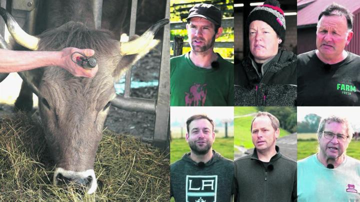 In mehreren Videos geben Landwirte ihr Wissen zur Hoftötung weiter: Samuel Emmenegger, Petra Hebeisen, Christian Rüfenacht, Cäsar Bürgi, sowie Jürg und Raphael Schluep (im Uhrzeigersinn, v.o.l.). Links ein Symbolbild vom FiBL-Hof. Foto: zVg