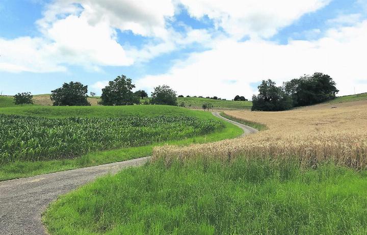 Zwischen Himmel und Heimat: weite Felder in Wölflinswil. Fotos: Boris Burkhardt