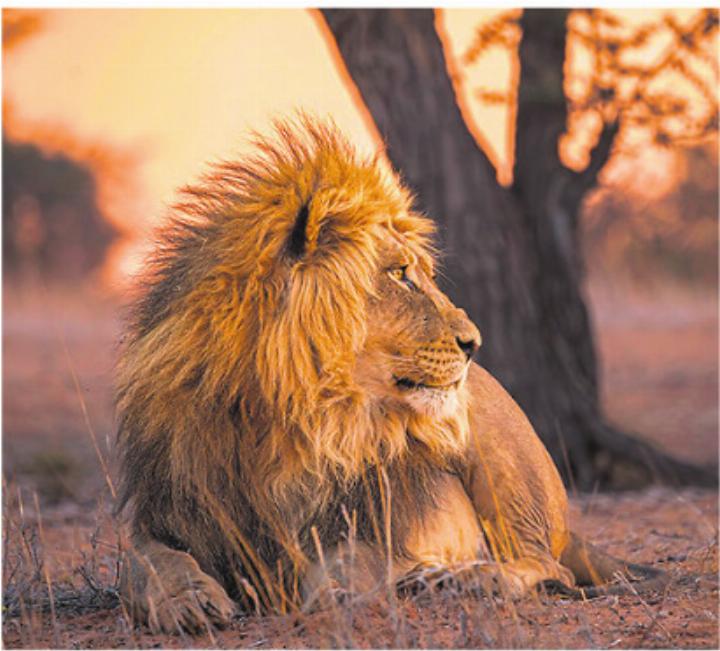 Daniela Lüscher zeigte Bilder von ihren Reisen. Foto: zVg