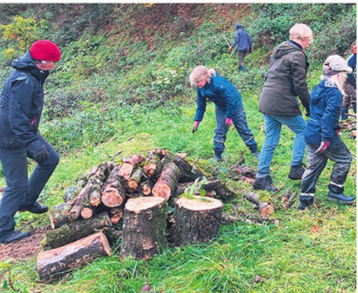 Am vergangenen Samstag waren viele fleissige Helfer für die Natur im Einsatz. Foto: zVg