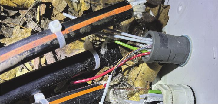 Die Bande soll auch hinter der Glasfaser-Sabotage in Rheinfelden stecken. Foto: zVg