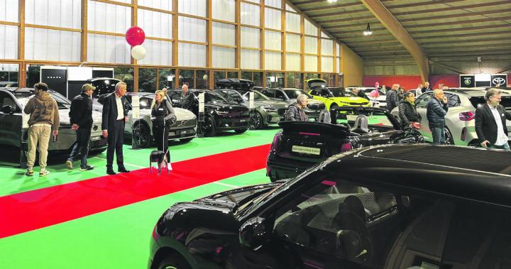 Die Autoausstellung in Stein zog ein grosses Publikum an. Foto: Loris Gallidoro Die Autoausstellung in Stein zog ein grosses Publikum an. Foto: Loris Gallidoro
