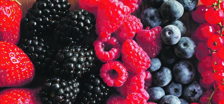 Ob als Snack, in Kuchen, Konfitüren oder als Highlight im Birchermüesli: Schweizer Beeren werden immer beliebter. Foto: zVg