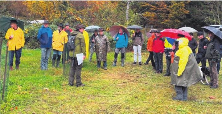 Spannende Ausführungen am Waldumgang. Fotos: zVg Spannende Ausführungen am Waldumgang. Fotos: zVg