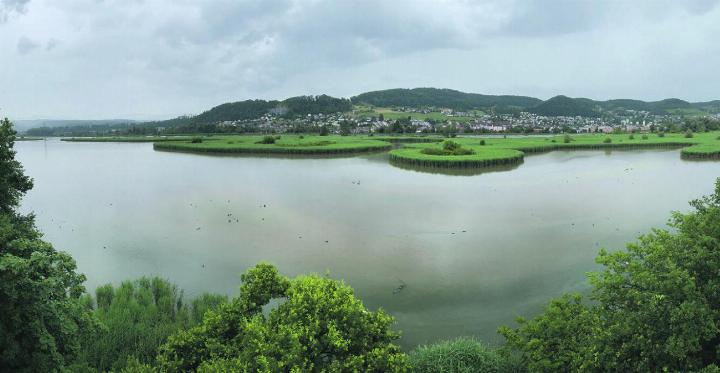 Dem Klingnauer Stausee droht die Verlandung. Foto: zVg