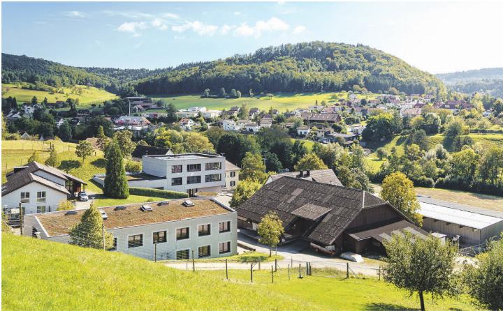 Das Schulheim in Effingen steht vor einschneidenden Veränderungen. Foto: zVg Das Schulheim in Effingen steht vor einschneidenden Veränderungen. Foto: zVg