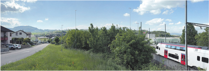 Profilstangen kündeten im Frühling (Bild) das Projekt an. Jetzt hat der Gemeinderat zum geplanten Hotel Nein gesagt. Foto: Archiv sir