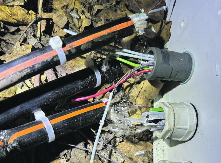 Die Sabotageaktionen an Glasfaserkabeln in Rheinfelden während der Festtage Ende Dezember 2023 lösten grössere Ermittlungen aus. Foto: zVg