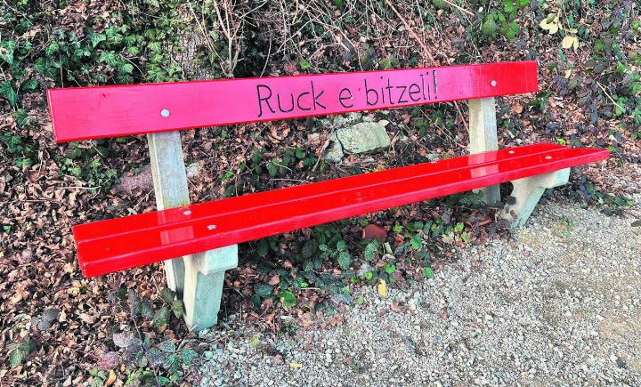 Klare Ansage: Auf dieser Bank hat es Platz für alle. Gesehen auf dem grenzüberschreitenden Rheinfelder Spazierweg.