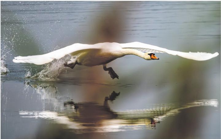 Foto: Melanie Zaugg, Frick