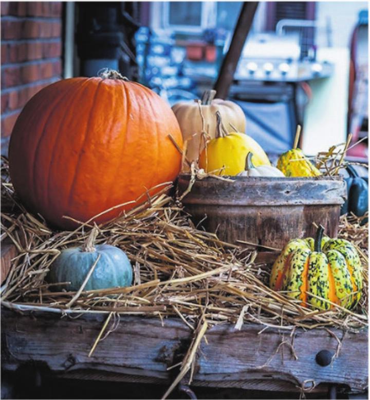 Herbstzeit ist auch Kürbiszeit. Foto: zVg