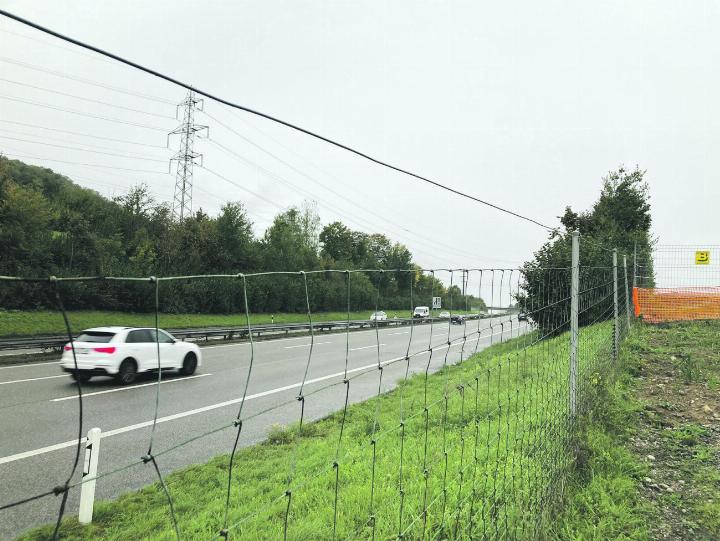 Hier in diesem Bereich wird die Brücke über die A3 gebaut: Der Blick geht in Fahrtrichtung Basel, kurz vor dem Zeininger Viadukt.