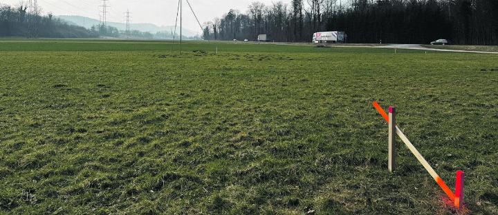 Auf dieser grossen Fläche soll in absehbarer Zeit Kies abgebaut und anschliessend sauberes Aushubmaterial aufgefüllt werden. Foto: Susanne Hörth